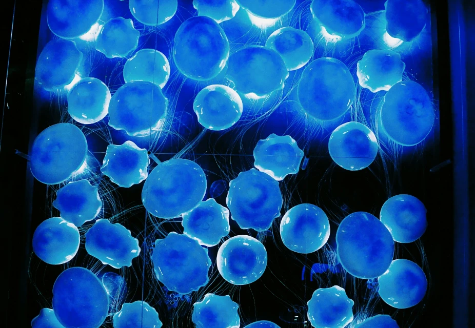Jellyfish Lamp Light Blue Image By Elena Rime