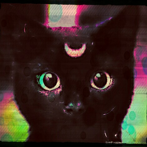 Picsart profile picture for @nipper